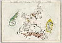 La Constellation de la Lyre et du Petit Renard