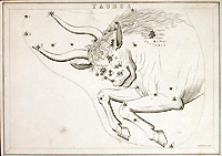 La constellation du Taureau