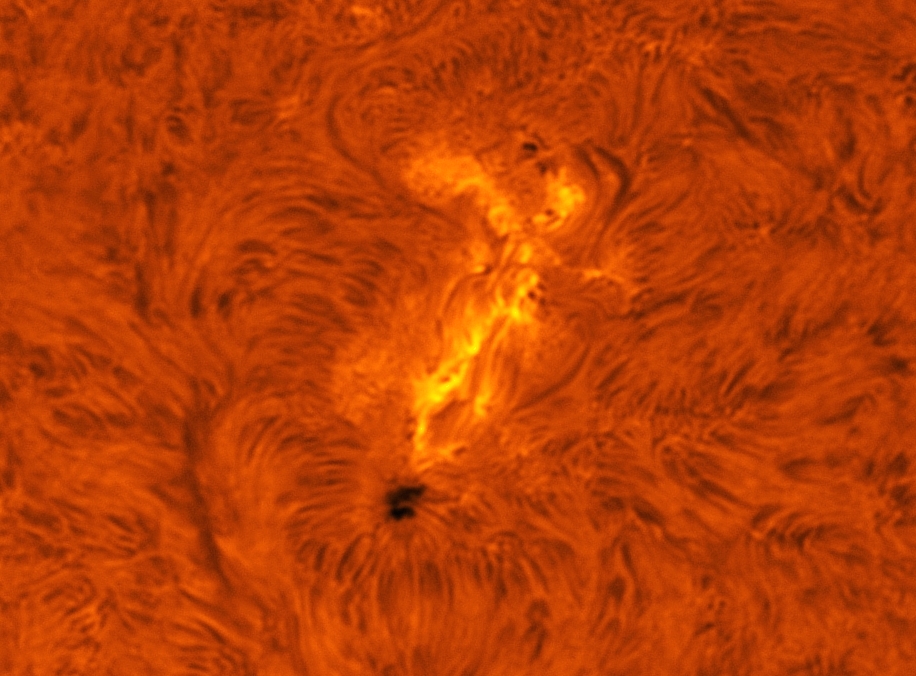 Image du mois de septembre 2011 - Rgion active sur le Soleil par Alexandre Lhoest