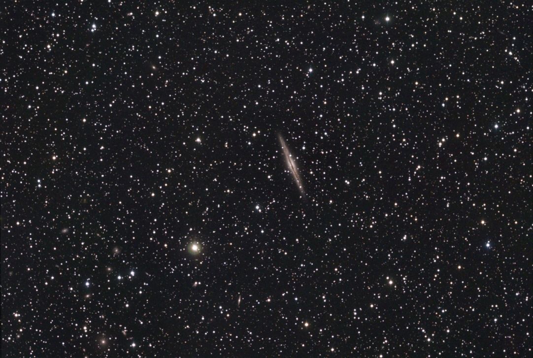 Image du mois de novembre 2010 - NGC891, galaxie vue par la tranche par Jean-Luc Mairlot