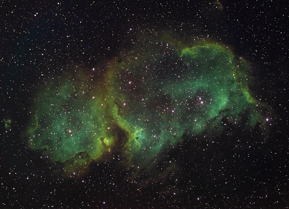 L'image du mois de dcembre 2016 par Didier Vothy: NGC1848 ou la nbuleuse de l'me