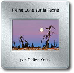 L'image du mois de Mars 2009 - Pleine Lune sur la Fagne par Didier Keus