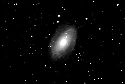 M81