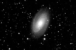 M81