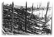 Conférence : Tunguska 1908 : la plus grande catastrophe naturelle du XXe siècle