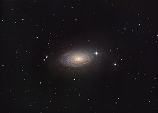 Image du mois de mai 2026 | M63, la Galaxie du Tournesol par Pierre Henrotay
