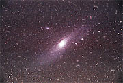 M31